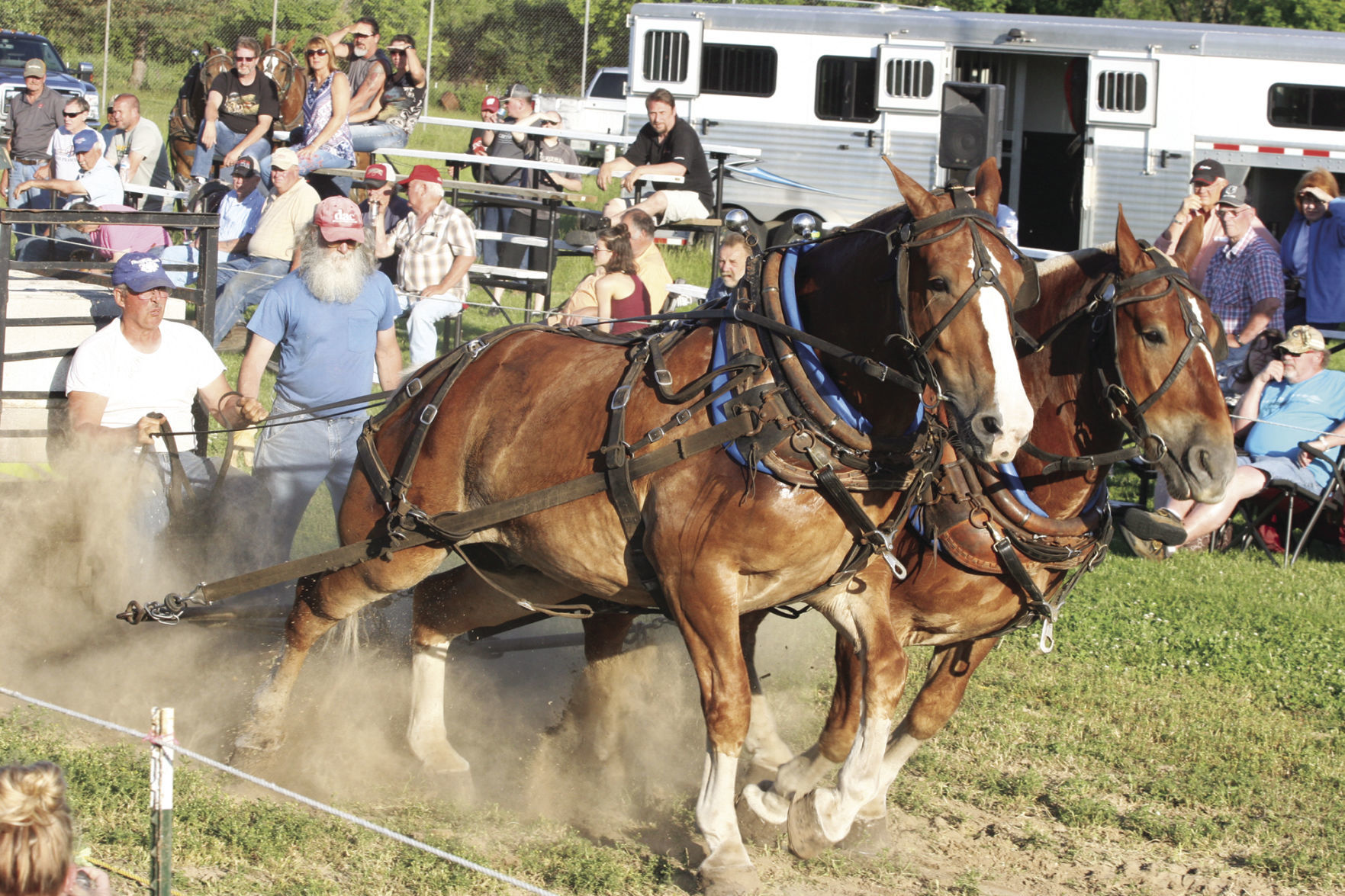 Horse pull